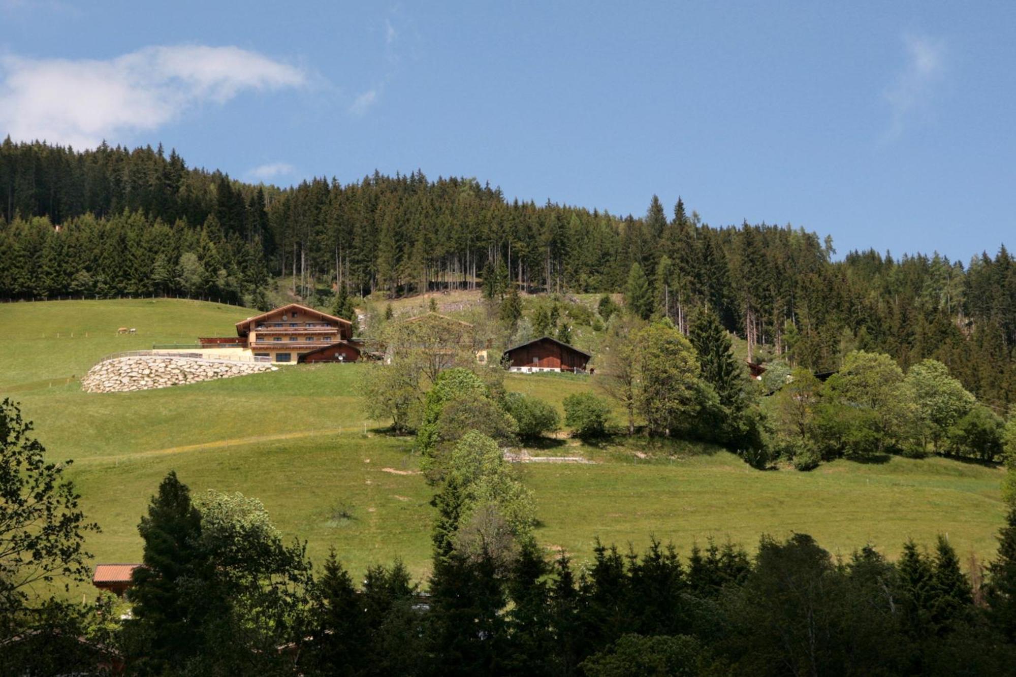 Der Wildbachhof - Contactless Check In Apartment Zell am See Luaran gambar